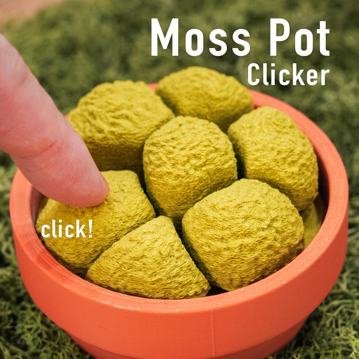 Clicker Fidgets