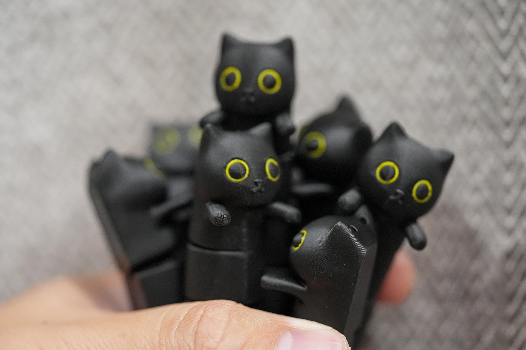 Flexi Long Black Cat