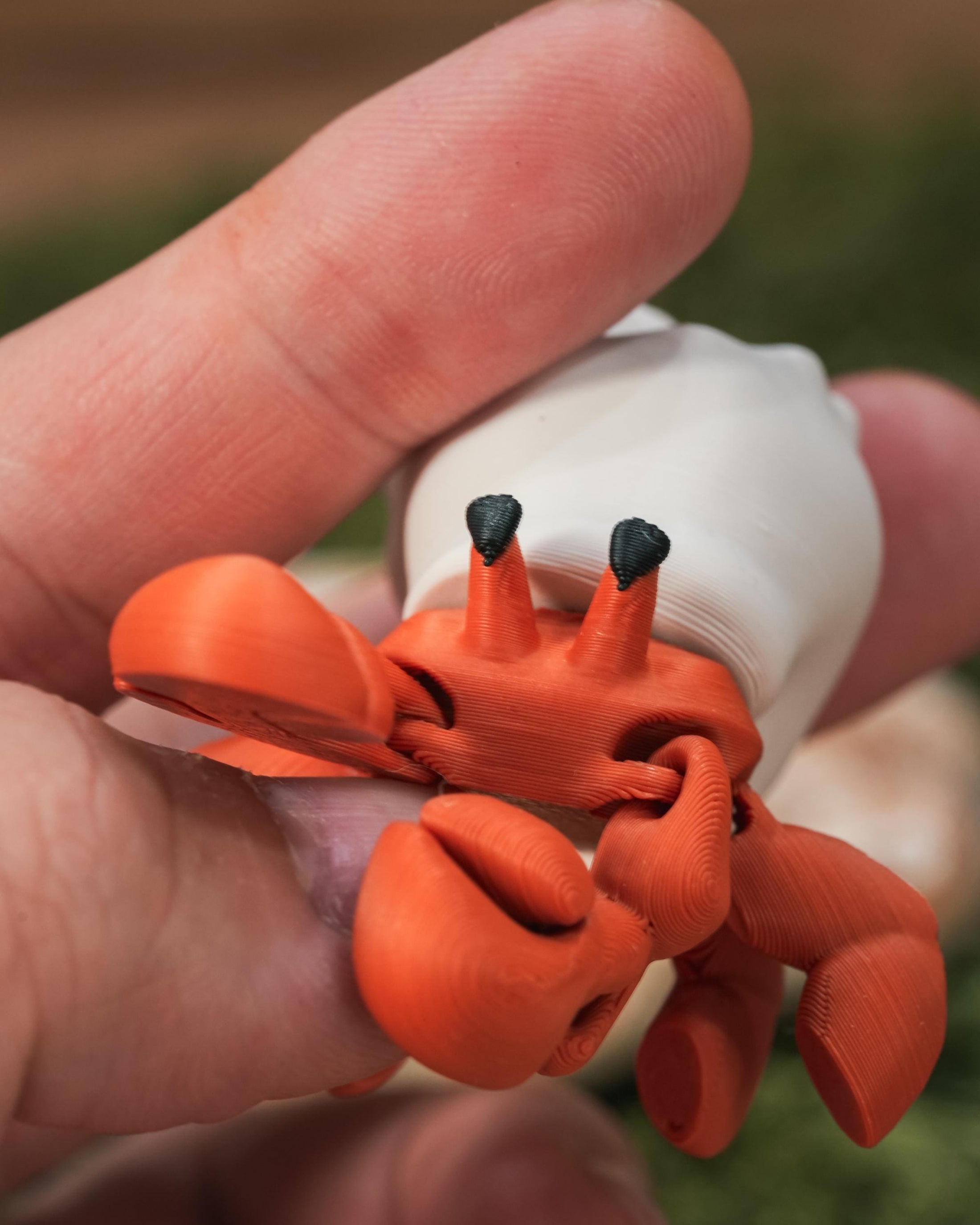 Flexi Hermit Crab