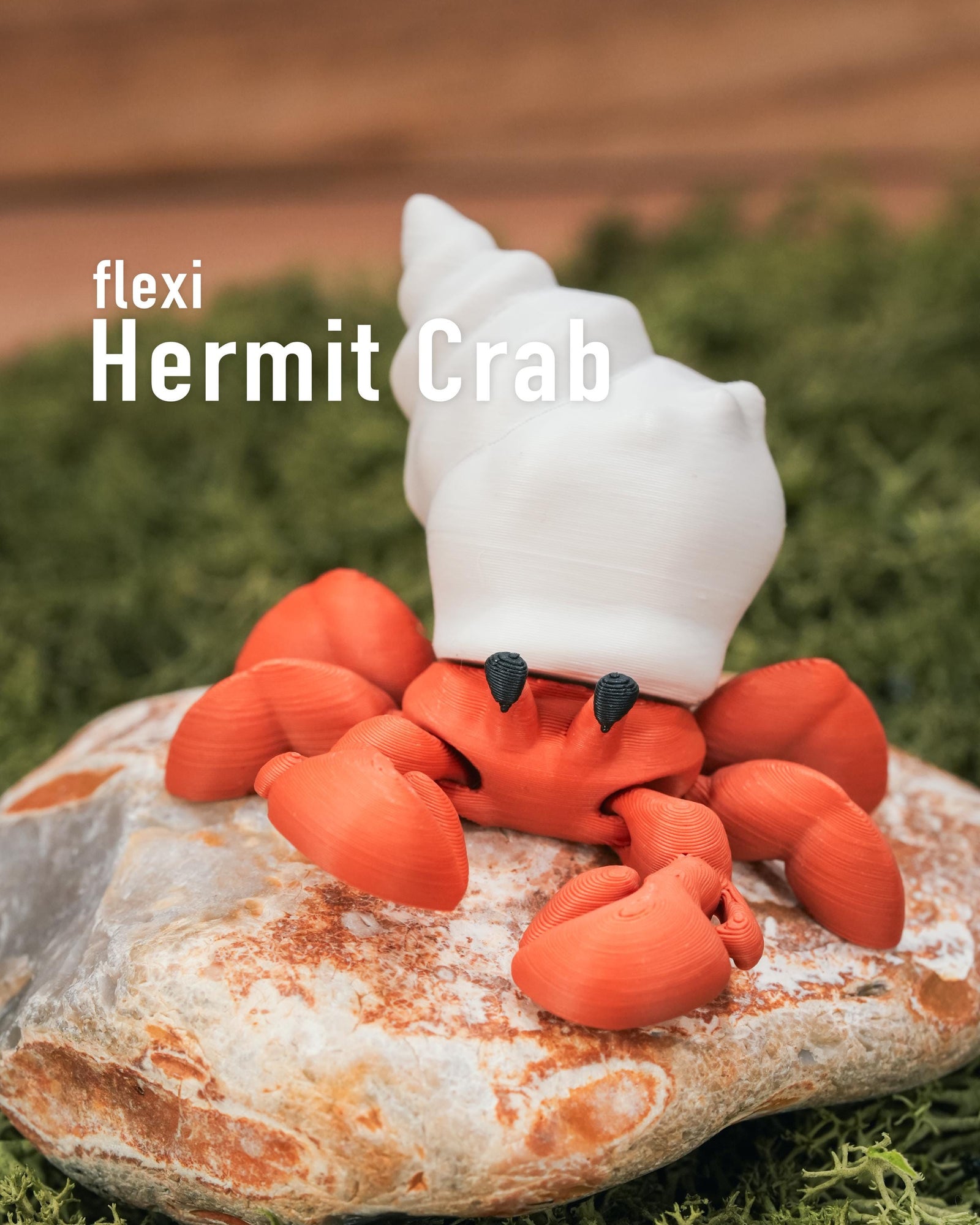 Flexi Hermit Crab