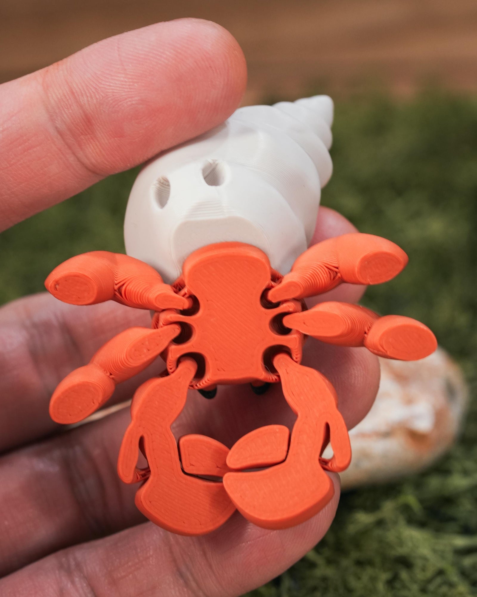 Flexi Hermit Crab