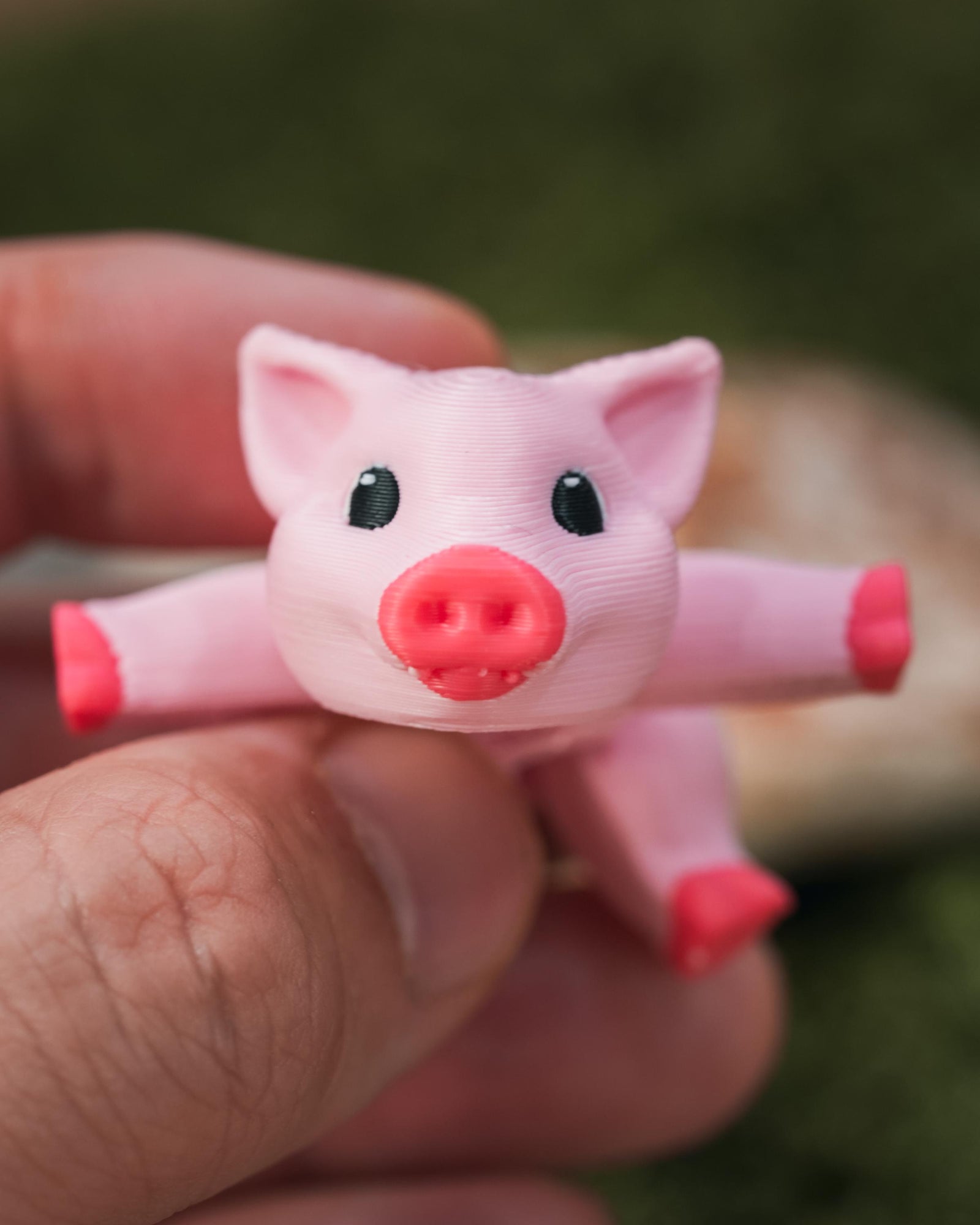 Flexi Pig