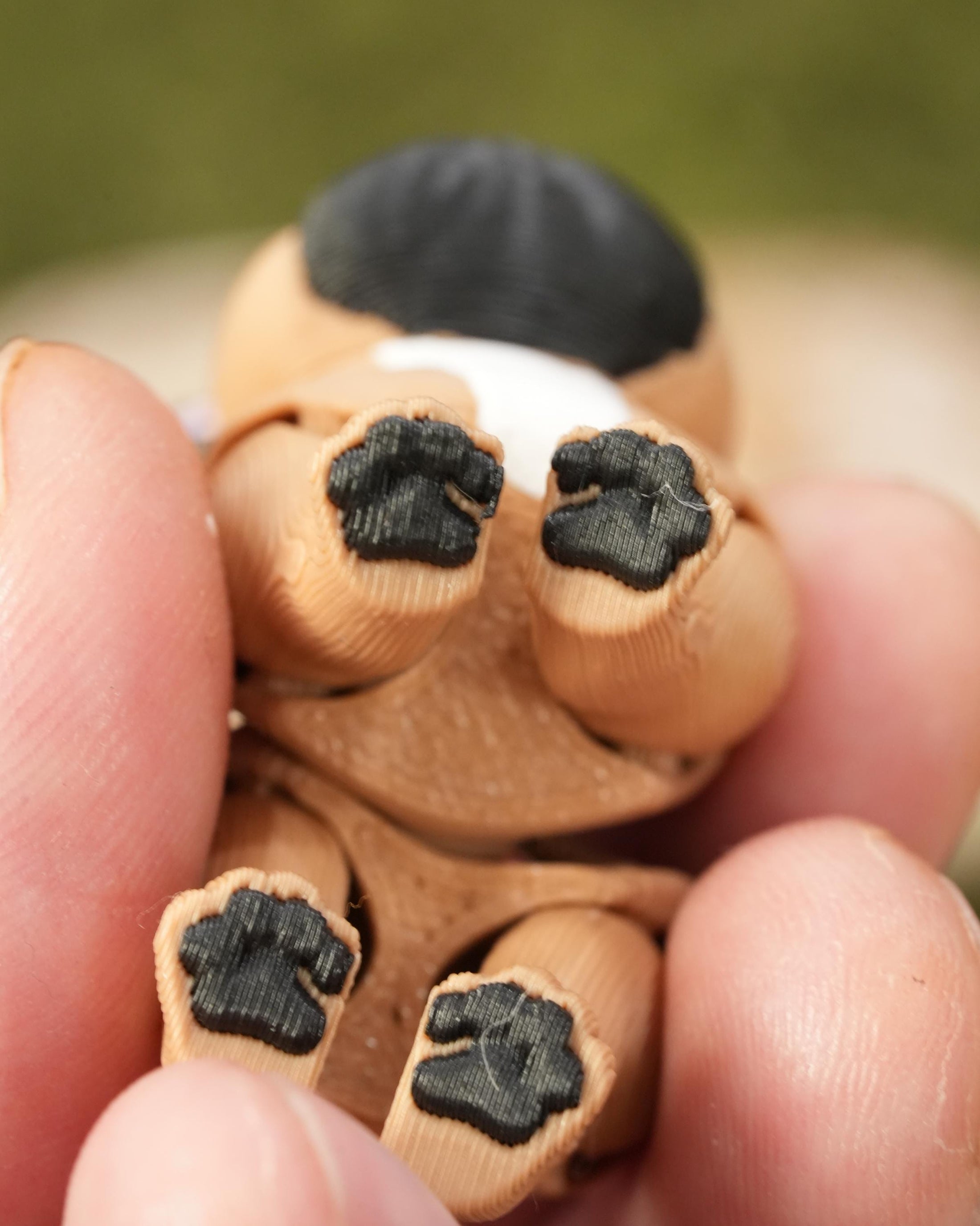 Flexi French Bulldog
