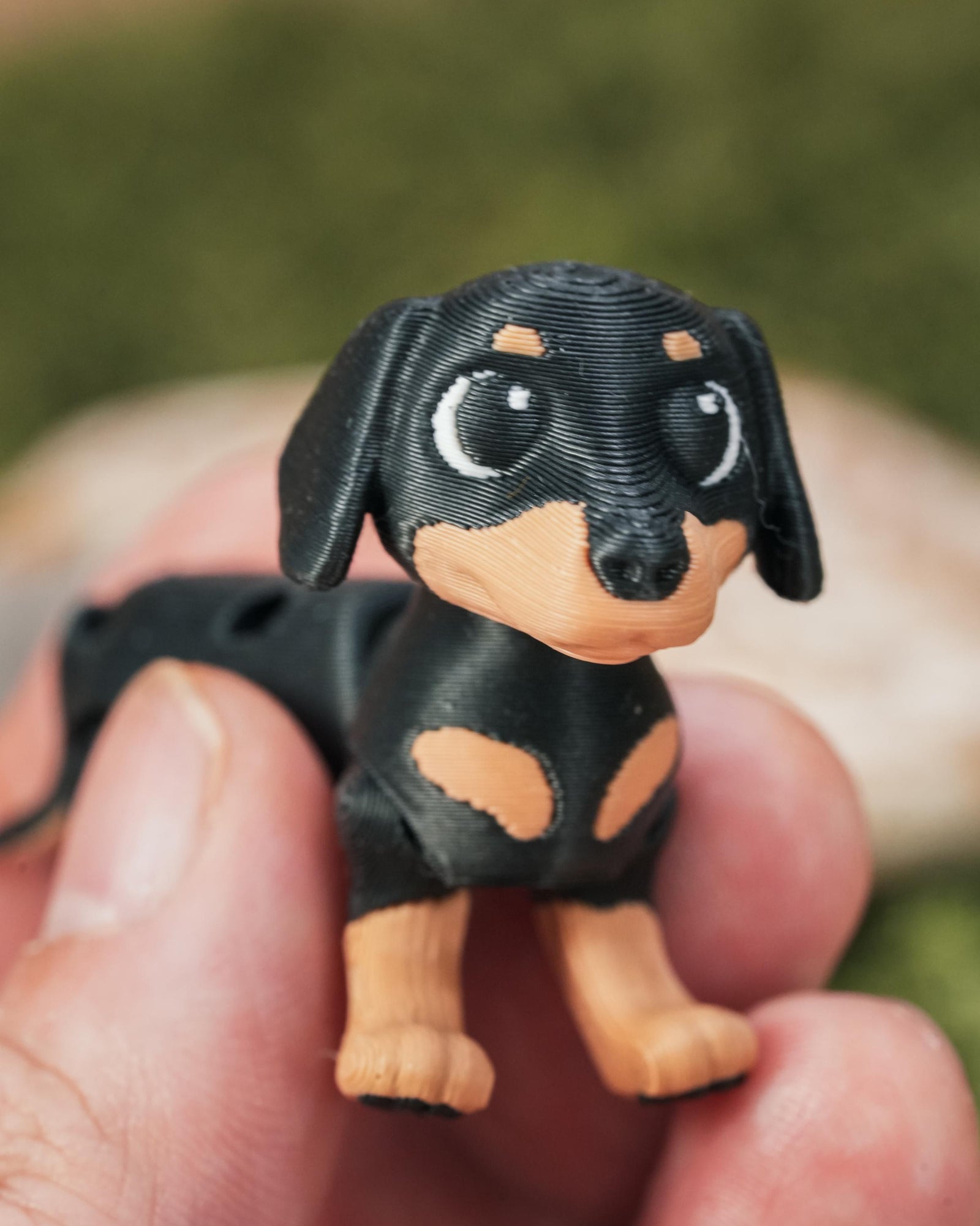 Flexi Dachshund “Sausage” Dog
