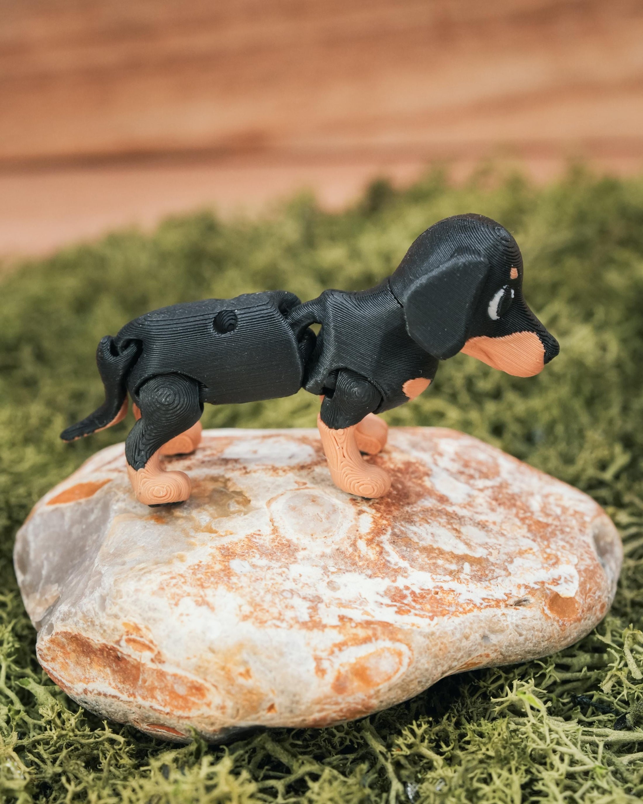 Flexi Dachshund “Sausage” Dog