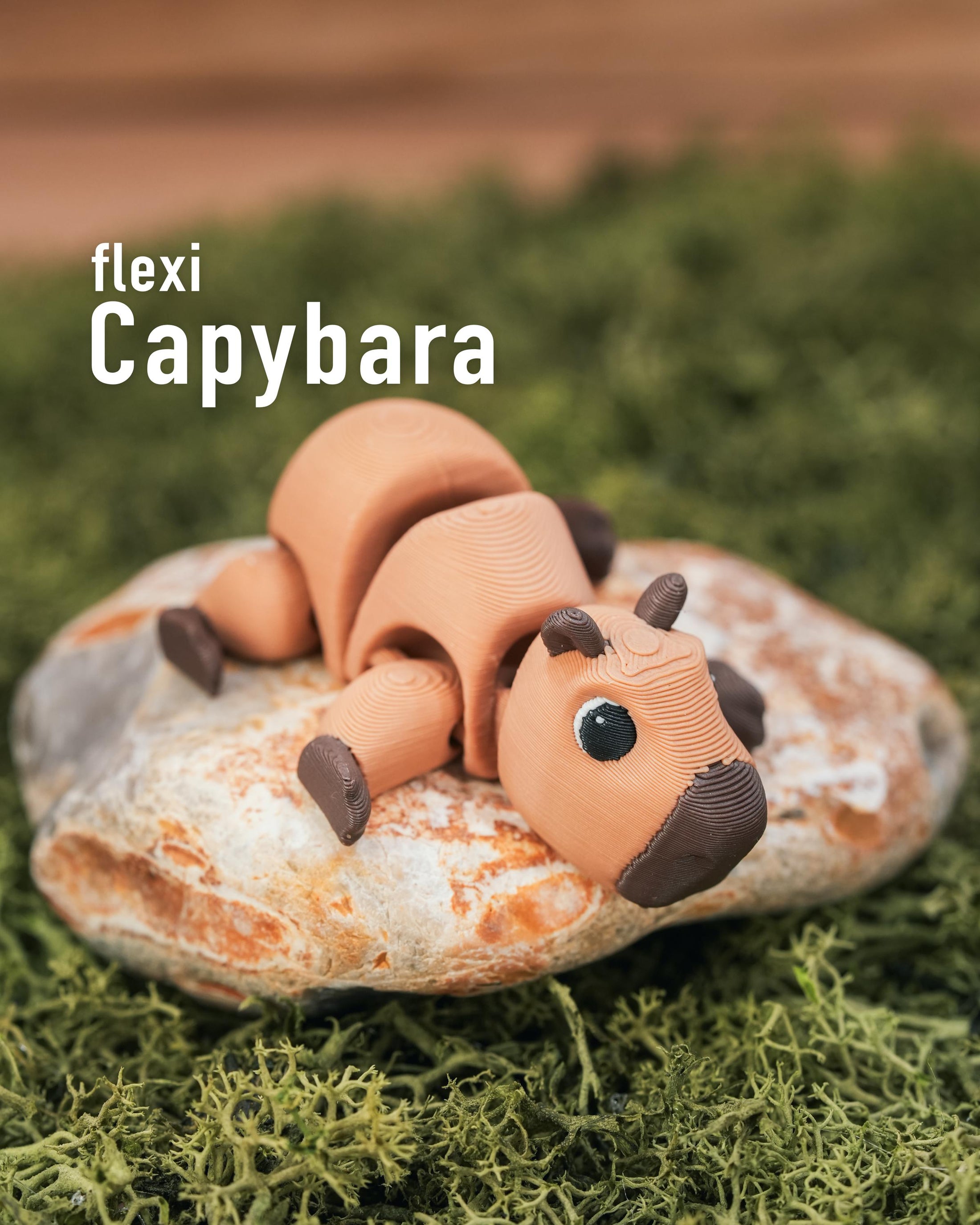 Flexi Capybara