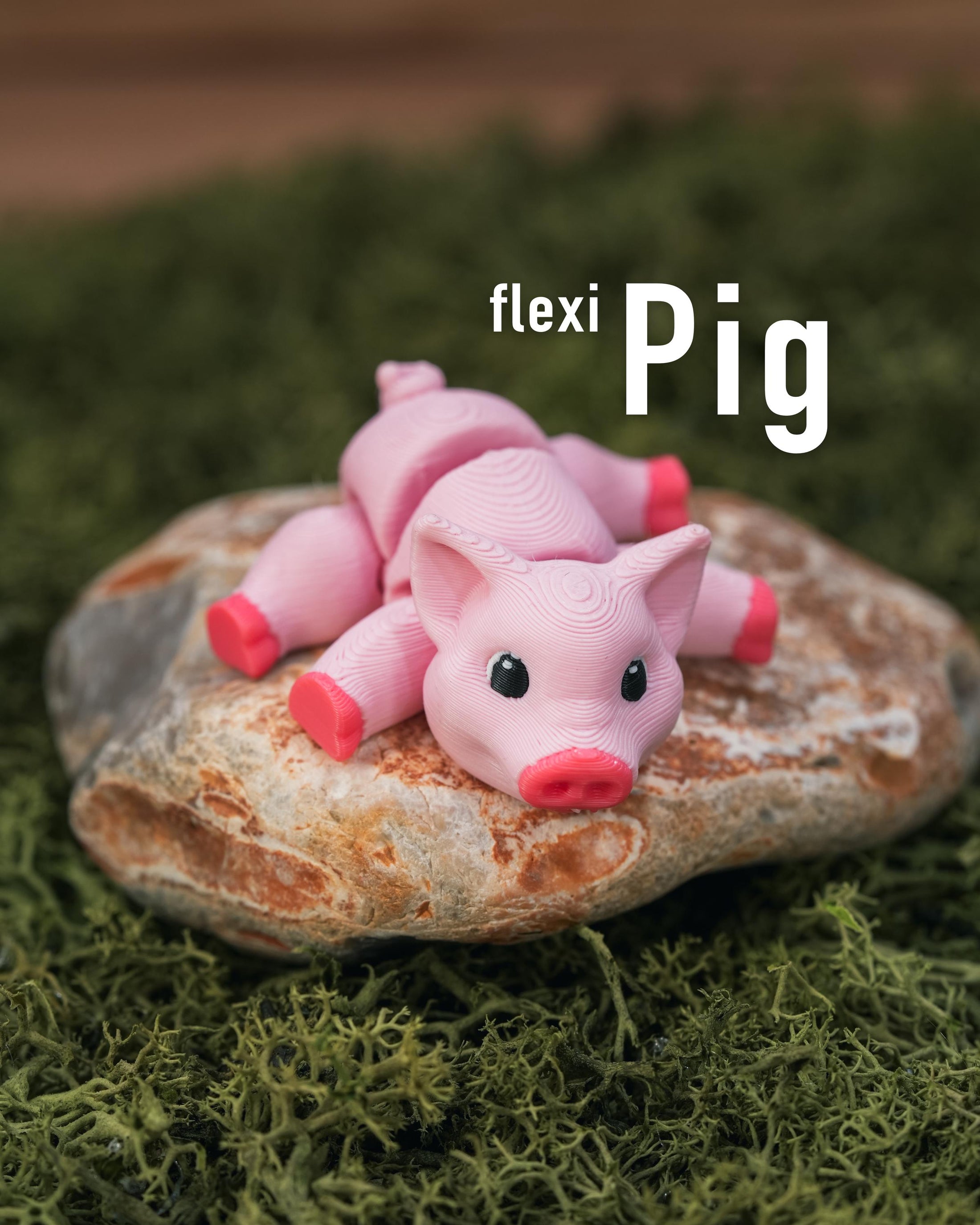 Flexi Pig