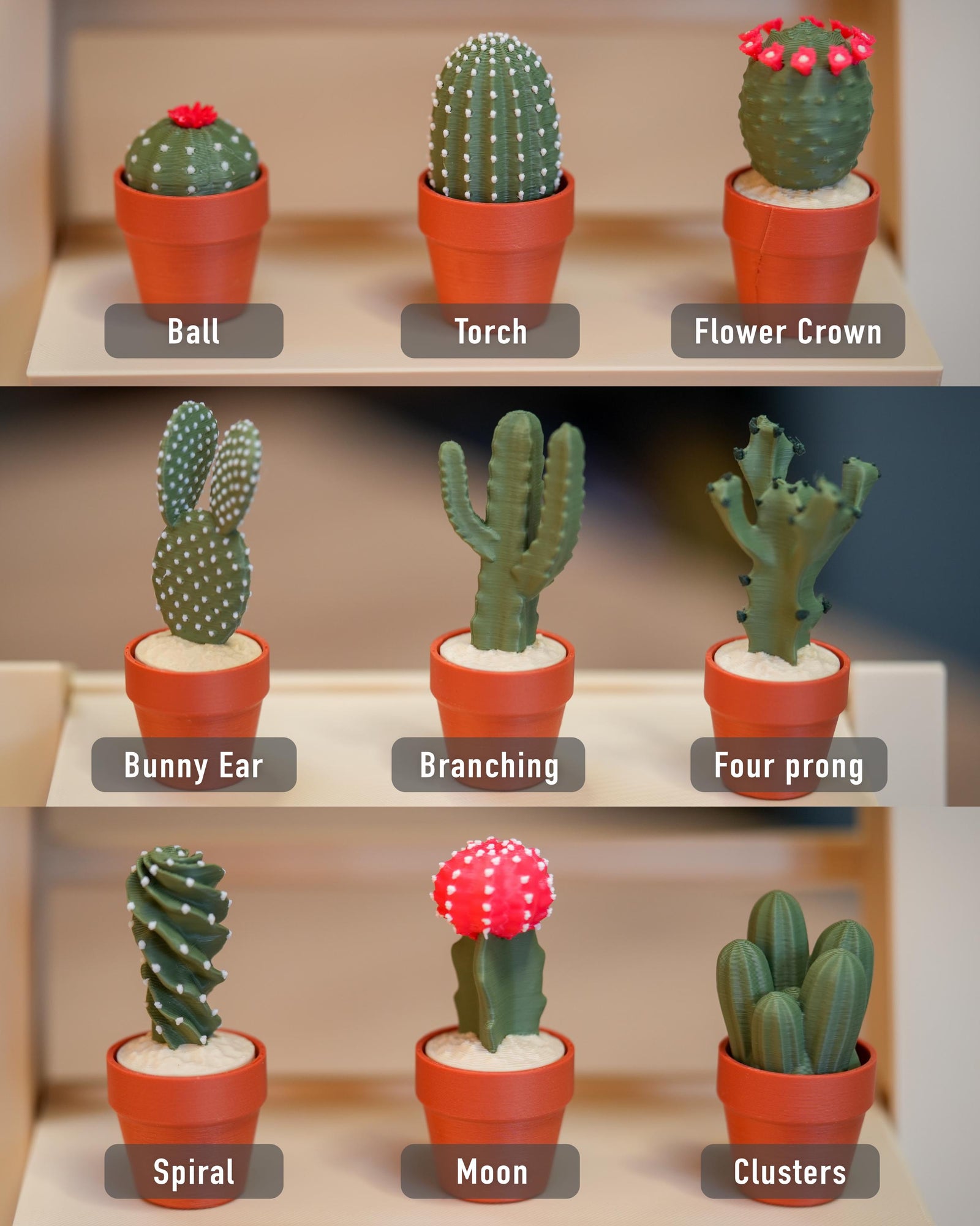Cactus Clicker