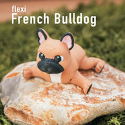 Flexi French Bulldog