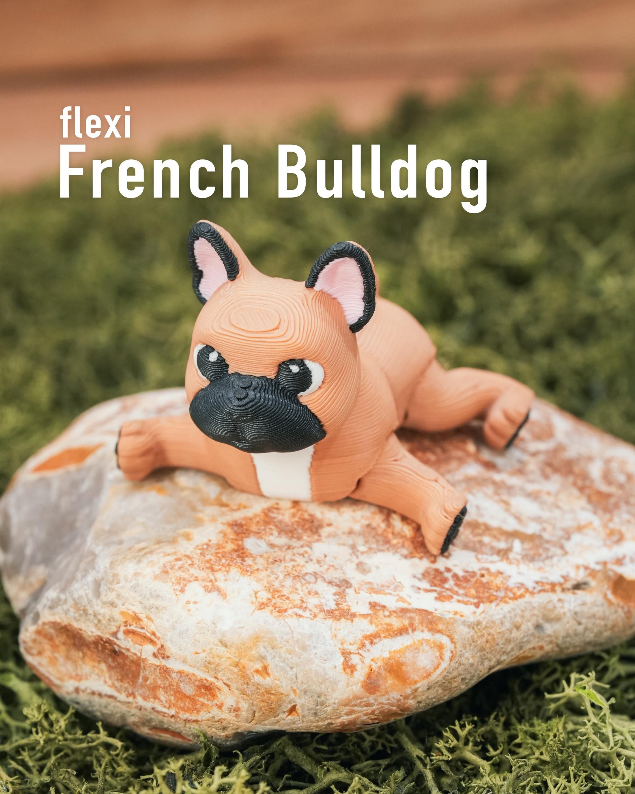 Flexi French Bulldog