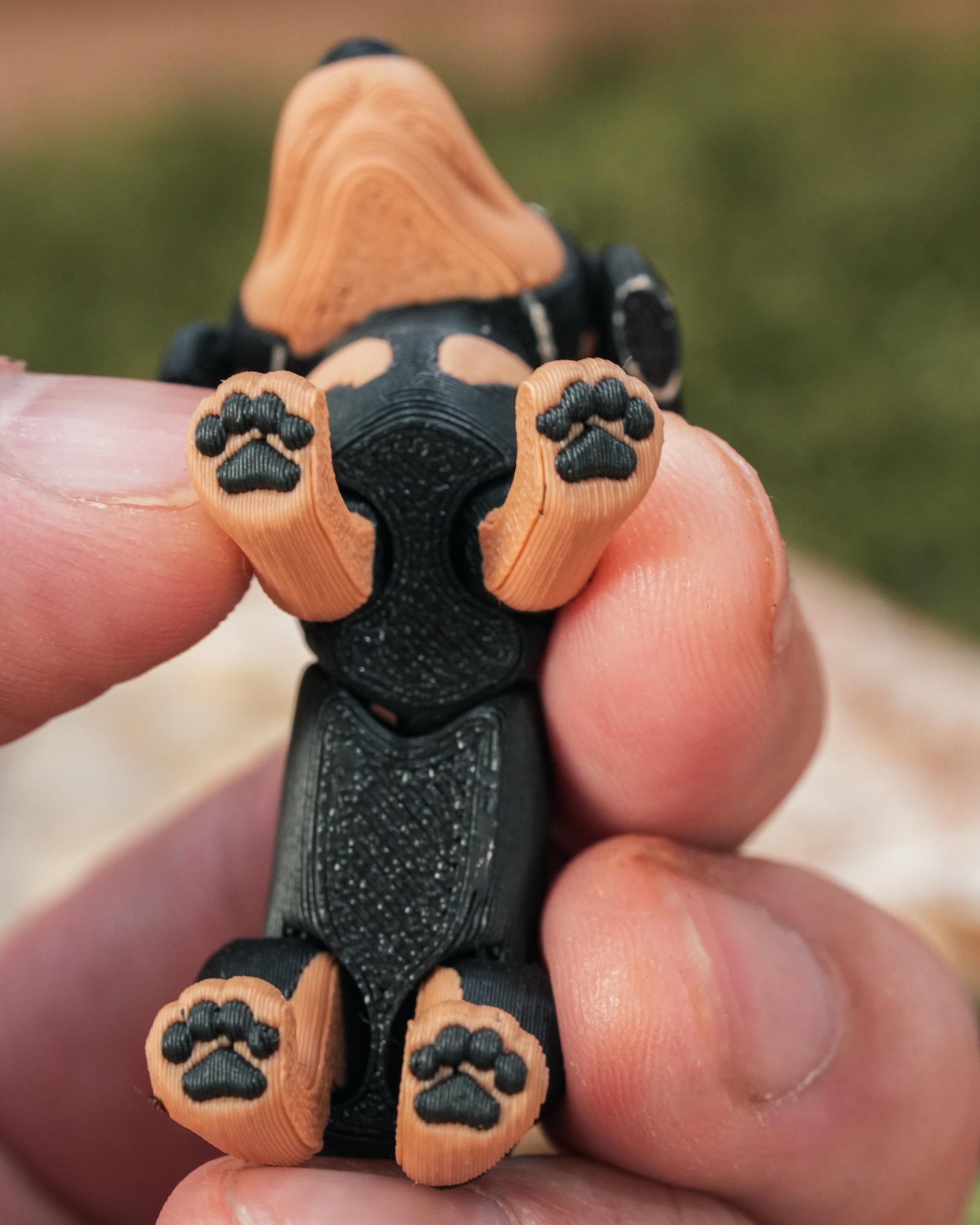 Flexi Dachshund “Sausage” Dog