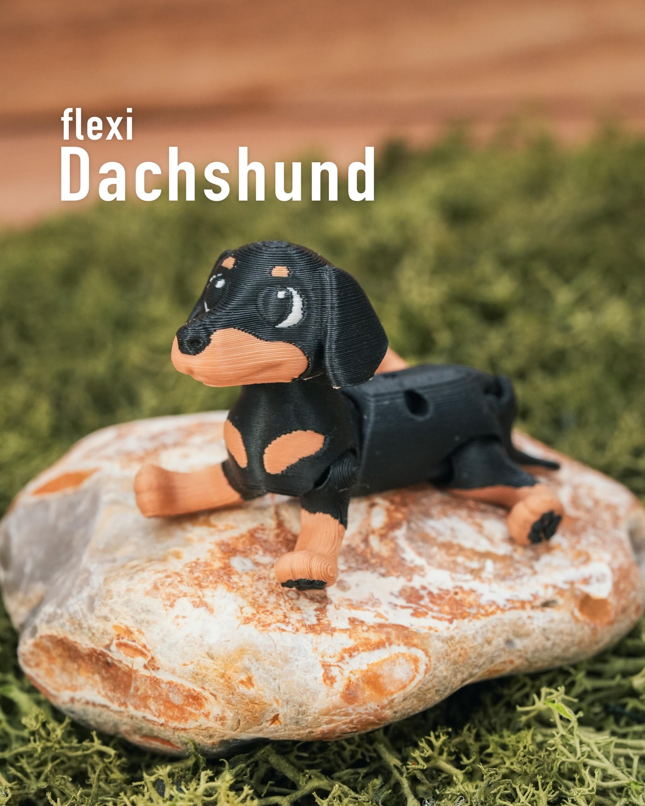 Flexi Dachshund “Sausage” Dog