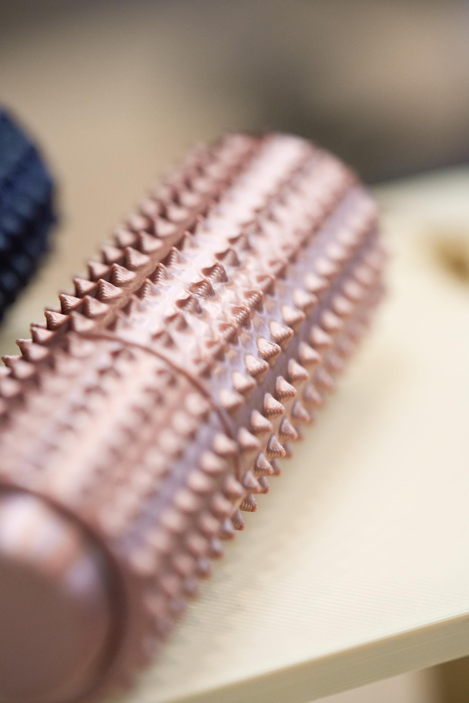 Spiky Roller Fidget